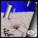 In Tom Album Art